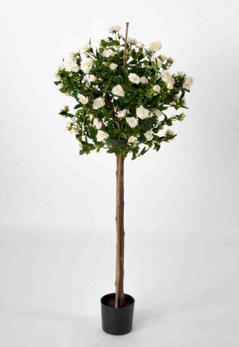 Rosenträd - Vit- 110 cm - www.frokenfraken.se