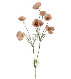 Rosenskära - Aprikos - 100 cm - www.frokenfraken.se