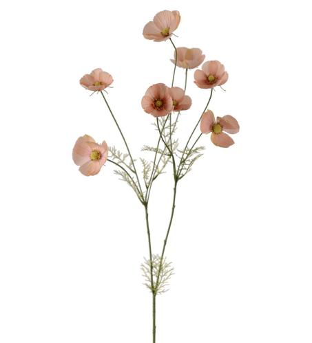 Rosenskära - Aprikos - 100 cm - www.frokenfraken.se