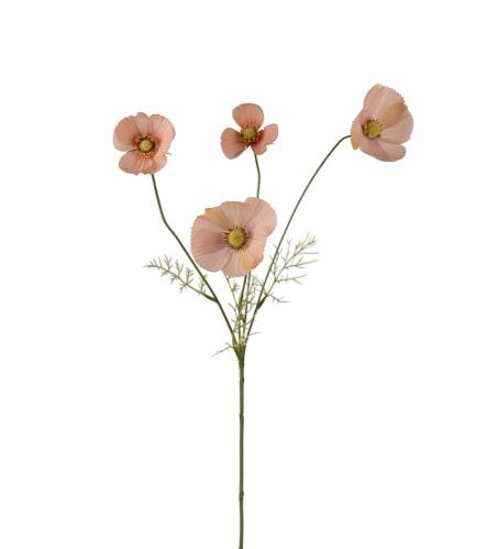 Rosenskära - Aprikos - 60 cm - www.frokenfraken.se