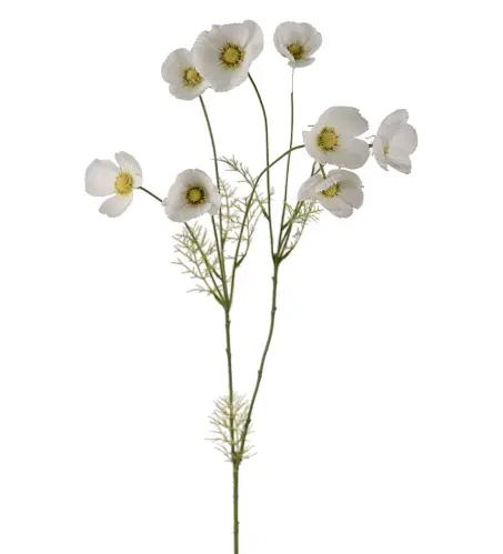 Rosenskära - Vit - 100 cm - www.frokenfraken.se