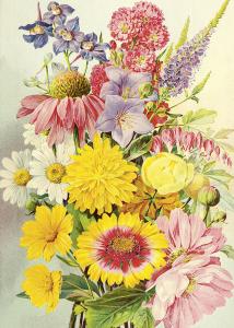 Poster - Vintage - Sommarbukett - 50 x 70 cm - www.frokenfraken.se