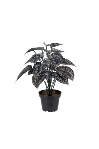 Silverranka - Svart - 25 cm - www.frokenfraken.se
