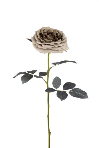 Ros - Grön - 65 cm - www.frokenfraken.se