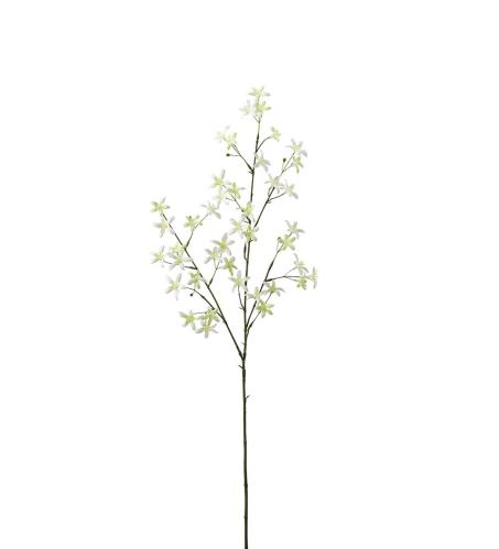 Saxifraga - Grön - 75 cm - www.frokenfraken.se