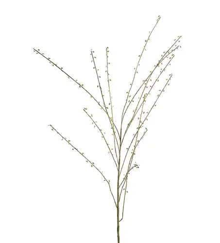 Salix kvist - Brun - 130 cm - www.frokenfraken.se