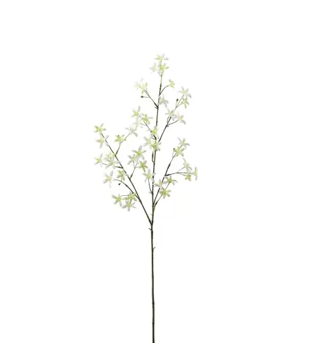 Saxifraga - Grön - 75 cm - www.frokenfraken.se
