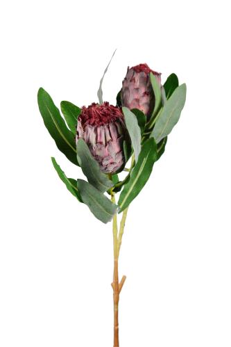 Protea - Lila - 80 cm - www.frokenfraken.se