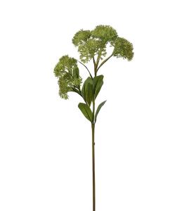 Sedum - Grön - 65 cm - www.frokenfraken.se