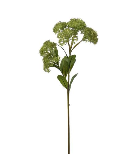 Sedum - Grön - 65 cm - www.frokenfraken.se