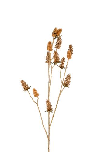 Tistel - Brun - 95 cm - www.frokenfraken.se