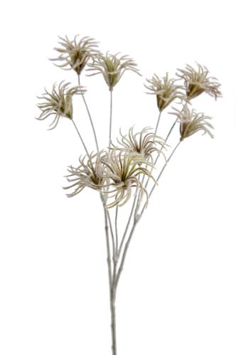Tistel - Grön - 70 cm - www.frokenfraken.se