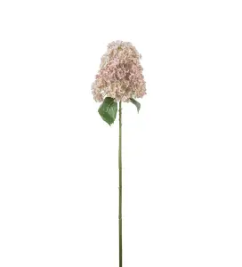 Syrénhortensia - Rosa - 84 cm - www.frokenfraken.se