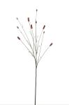 Pimpinell - 80 cm - www.frokenfraken.se