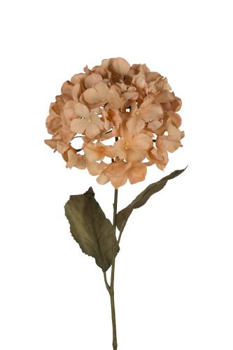 Hortensia - Brun - 70 cm - www.frokenfraken.se