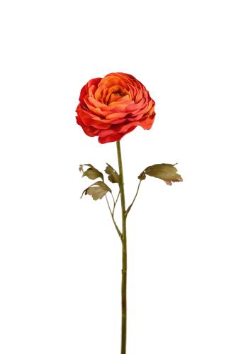 Ranuncel - Orange - 60 cm - www.frokenfraken.se