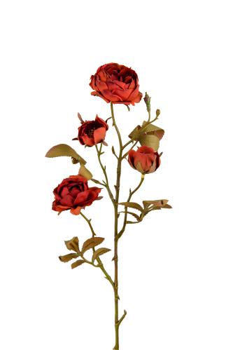 Ros - Brun - 60 cm - www.frokenfraken.se