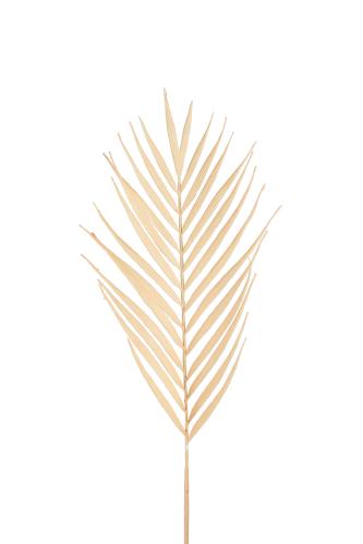 Palmblad - Brun - 90 cm - www.frokenfraken.se
