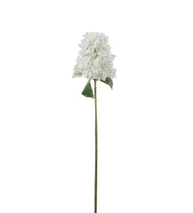 Syrénhortensia - Vit - 84 cm - www.frokenfraken.se