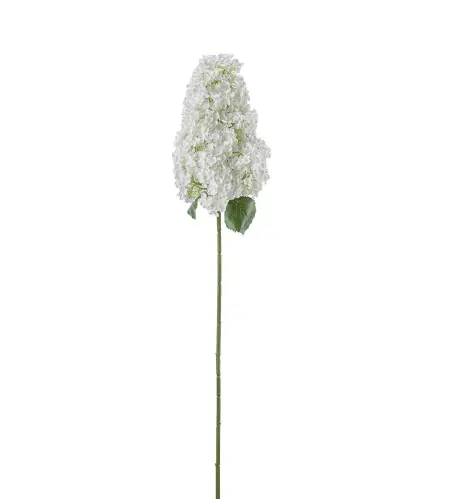 Syrénhortensia - Vit - 128 cm - www.frokenfraken.se
