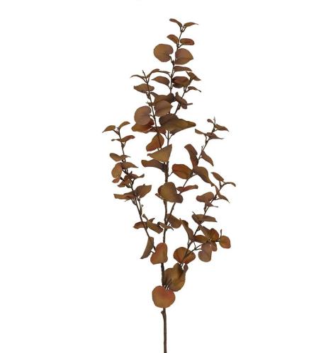 Eucalyptus - Brun - 100 cm - www.frokenfraken.se