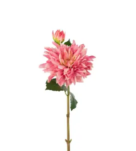 Dahlia - Rosa - 70 cm - www.frokenfraken.se