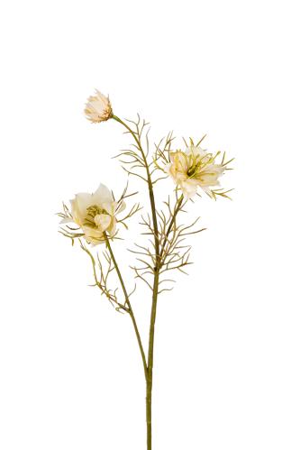 Nigella - Vit - 55 cm - www.frokenfraken.se