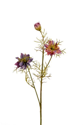 Nigella - Lila - 55 cm - www.frokenfraken.se