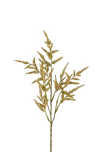 Astilbe - Grön - 65 cm - www.frokenfraken.se