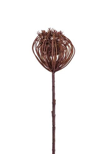 Trachelium - Brun - 55 cm - www.frokenfraken.se