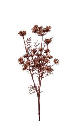 Trachelium - Brun - 75 cm - www.frokenfraken.se