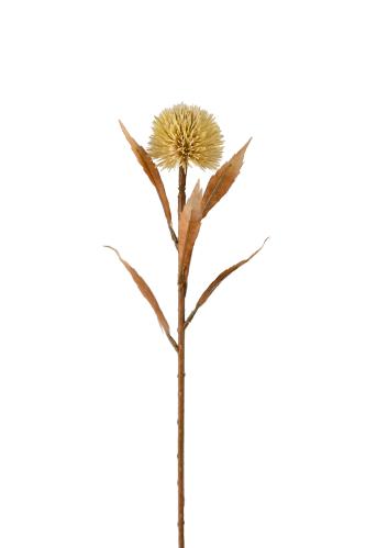 Tistel - Brun - 70 cm - www.frokenfraken.se