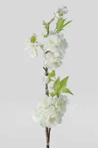 Körsbärsblom - Vit - 45 cm - www.frokenfraken.se