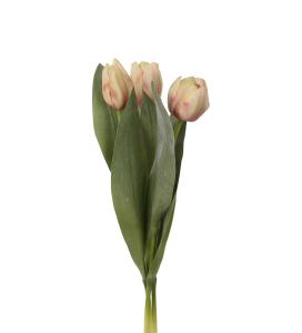 Tulpan mix - Persika - 3-pack - 36 cm - www.frokenfraken.se