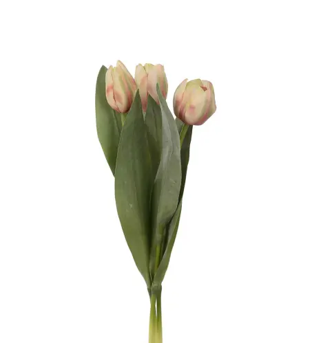 Tulpan mix - Persika - 3-pack - 36 cm - www.frokenfraken.se
