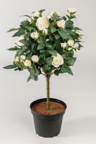 Ros - Vit - 45 cm - www.frokenfraken.se