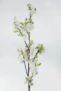 Körsbärskvist - Vit - 120 cm - www.frokenfraken.se