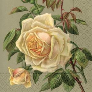 Servett - Ros - 33 x 33 cm - www.frokenfraken.se