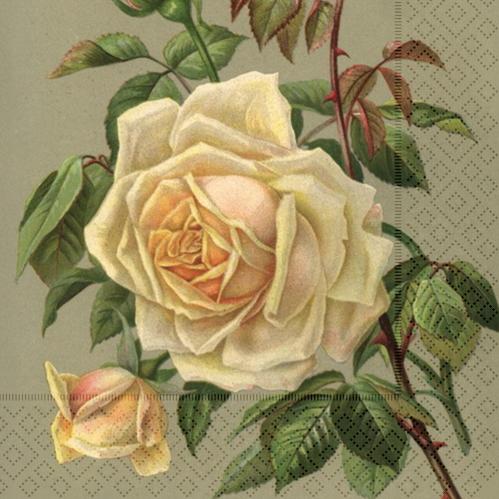 Servett - Ros - 33 x 33 cm - www.frokenfraken.se
