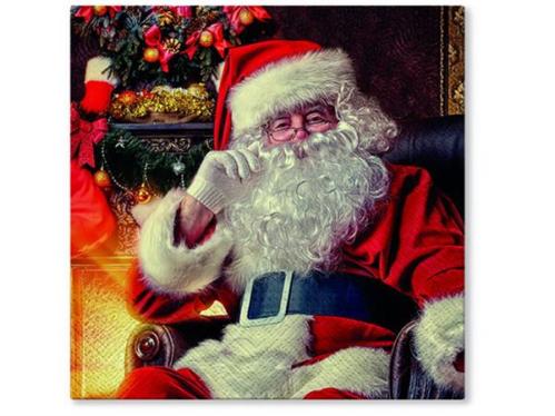 Servetter - Tomte som njuter - 12-pack - 33 x 33 cm - www.frokenfraken.se