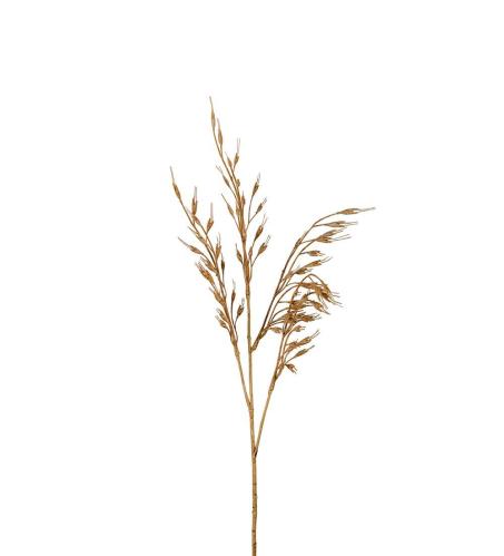 Gräs - Brun - 65 cm - www.frokenfraken.se