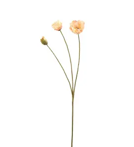 Vallmo - Persika - 75 cm - www.frokenfraken.se