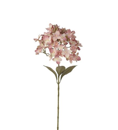 Hortensia - Lila - 65 cm - www.frokenfraken.se