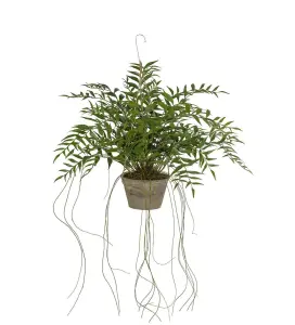 Hoya - Grön - 65 cm - www.frokenfraken.se