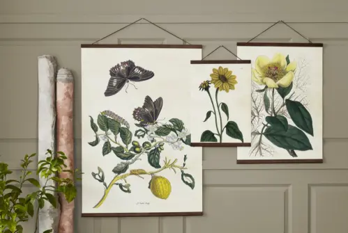 Poster - Vintage - Fjärilar & Citrus - 70 x 100 cm - www.frokenfraken.se
