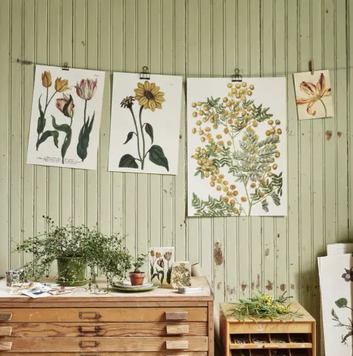 Poster - Vintage - Mimosa - 50 x 70 cm - www.frokenfraken.se