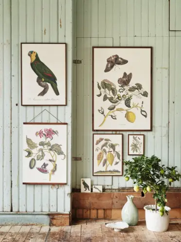 Poster - Vintage - Fjärilar & Citrus - 70 x 100 cm - www.frokenfraken.se