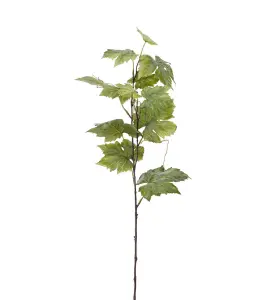 Vinbärskvist - Grön - 75 cm - www.frokenfraken.se