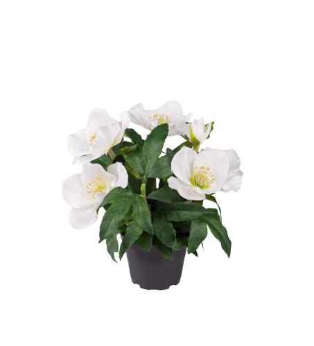 Julros - Vit - 20 cm - www.frokenfraken.se