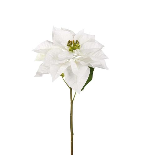 Julstjärna - Vit - 70 cm - www.frokenfraken.se